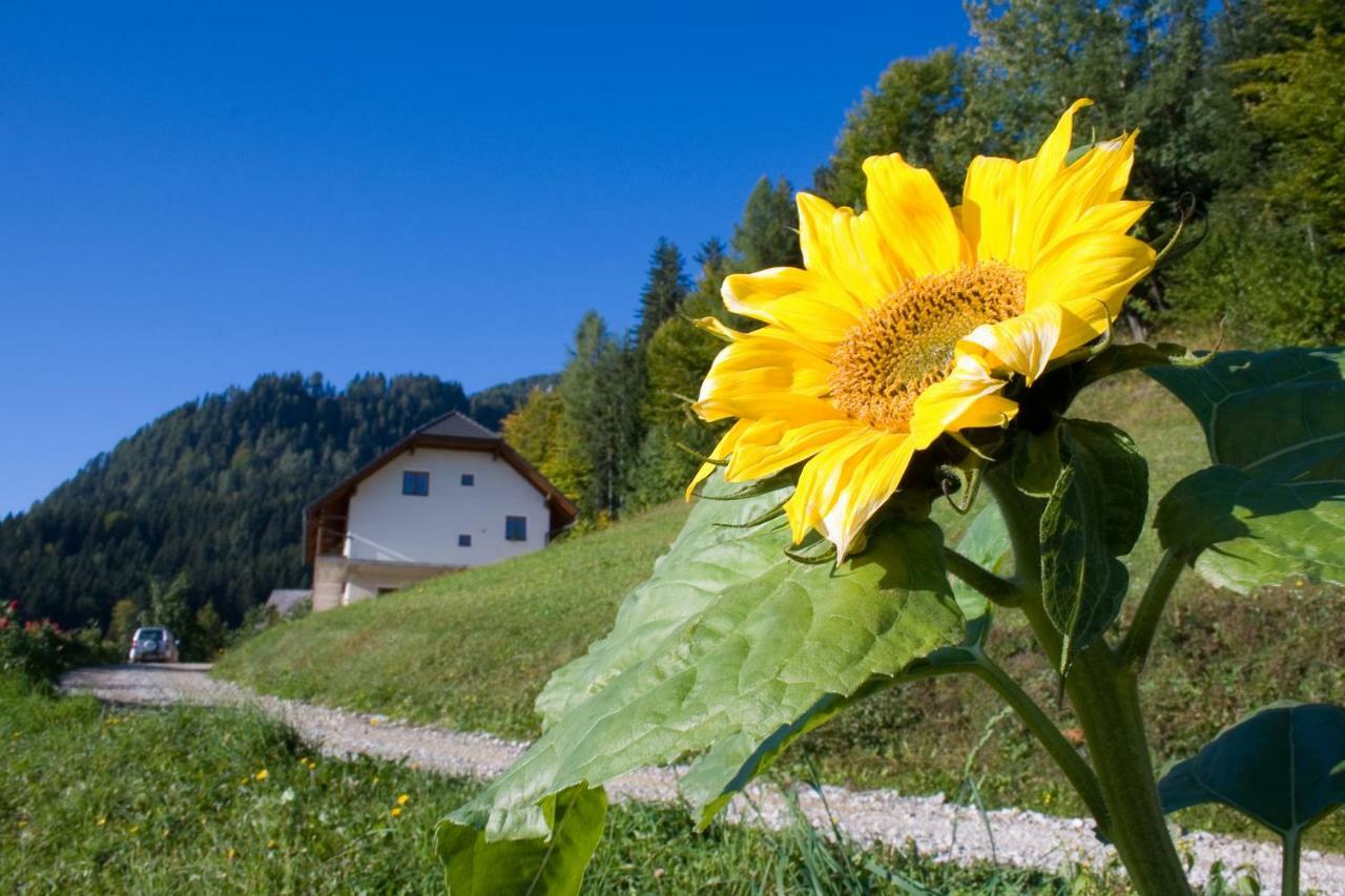 Villa Turisticna Kmetija Perk à Solčava Extérieur photo