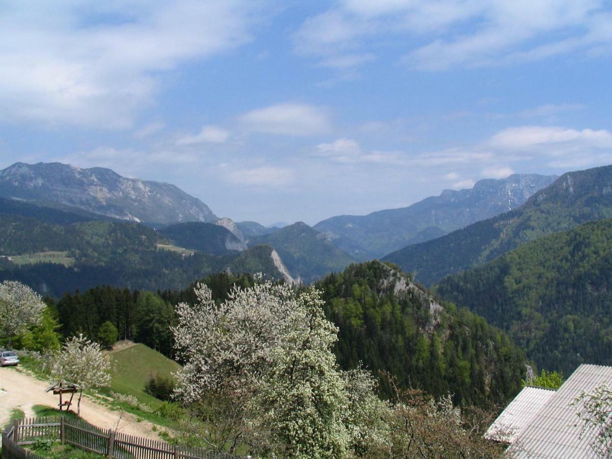 Villa Turisticna Kmetija Perk à Solčava Extérieur photo