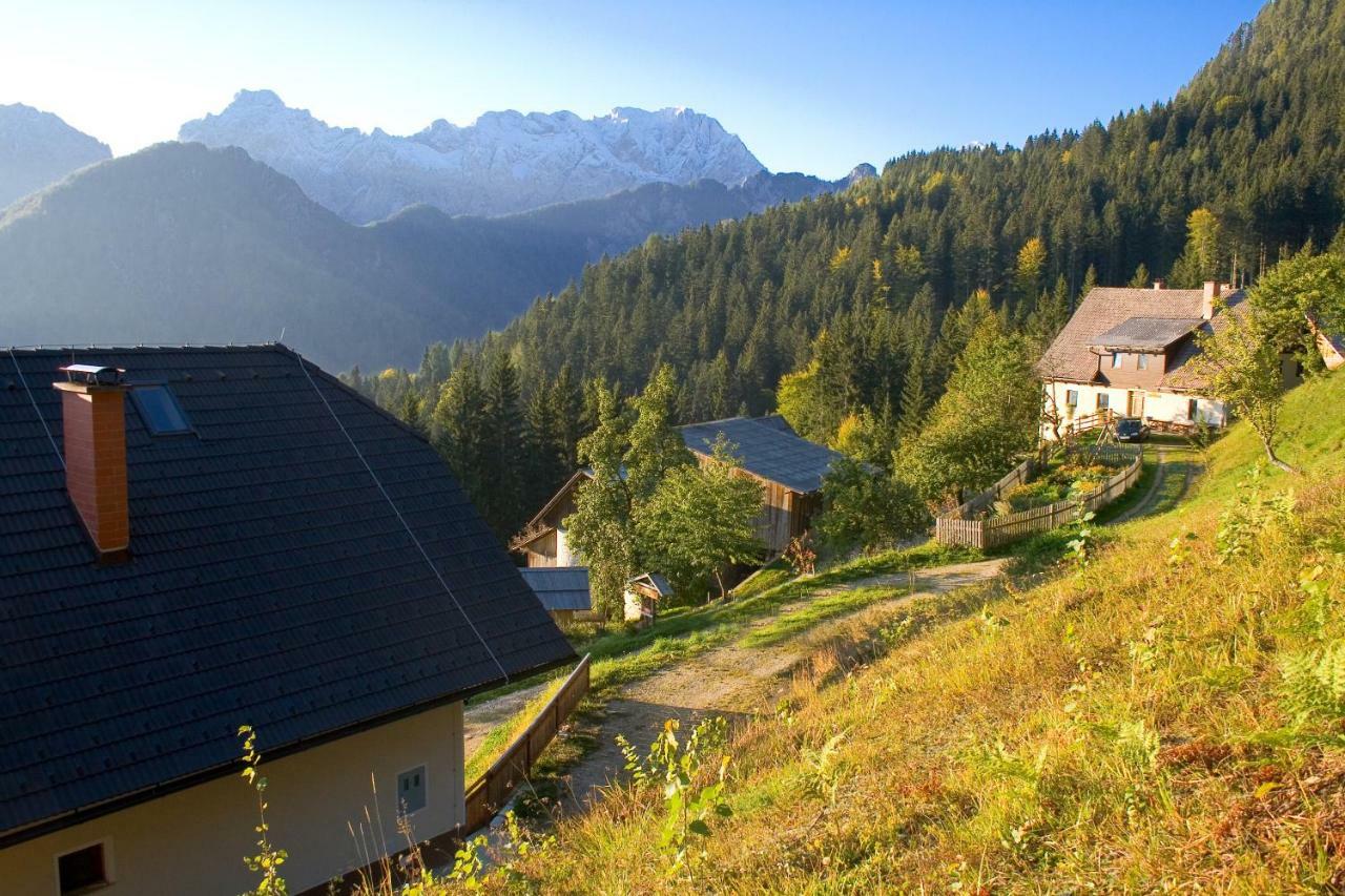 Villa Turisticna Kmetija Perk à Solčava Extérieur photo
