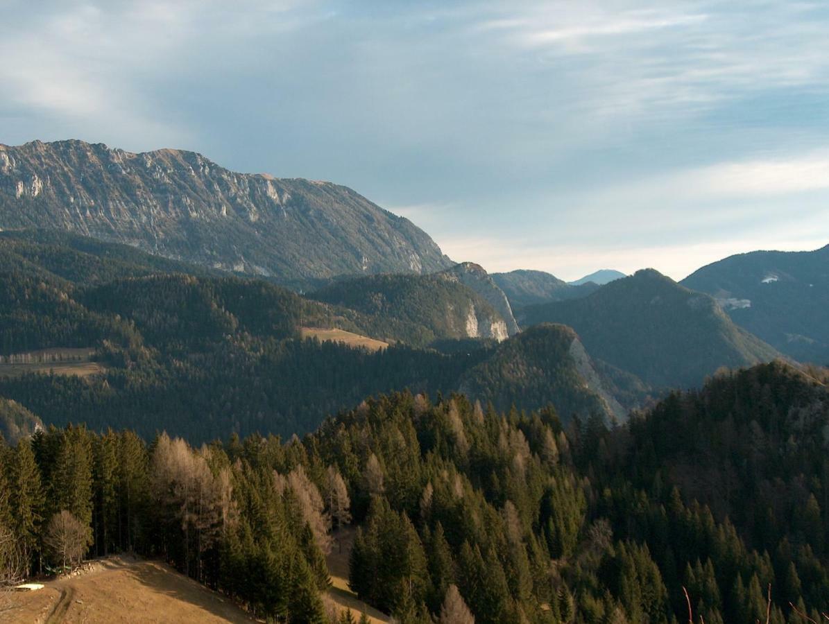 Villa Turisticna Kmetija Perk à Solčava Extérieur photo