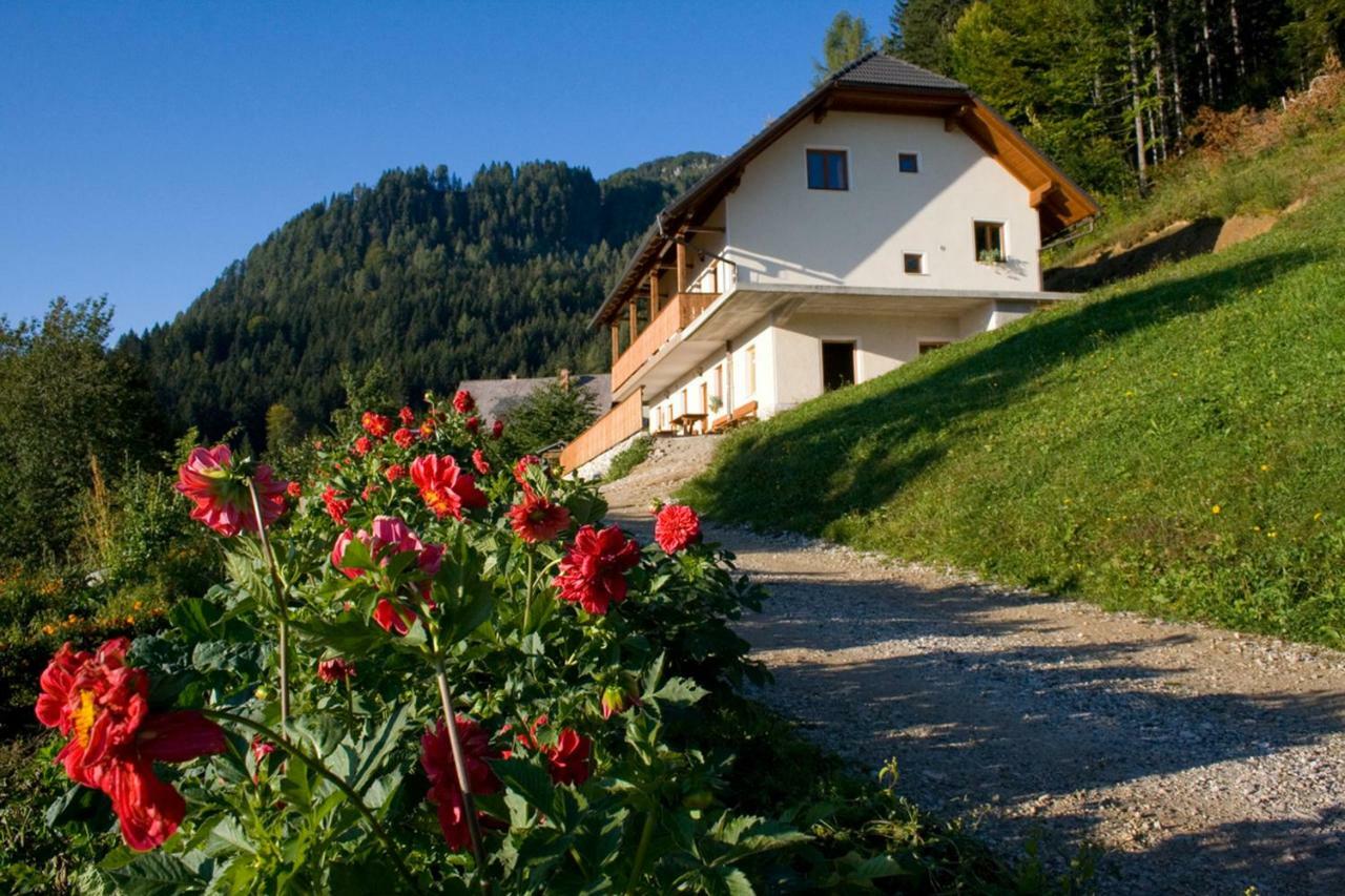 Villa Turisticna Kmetija Perk à Solčava Extérieur photo