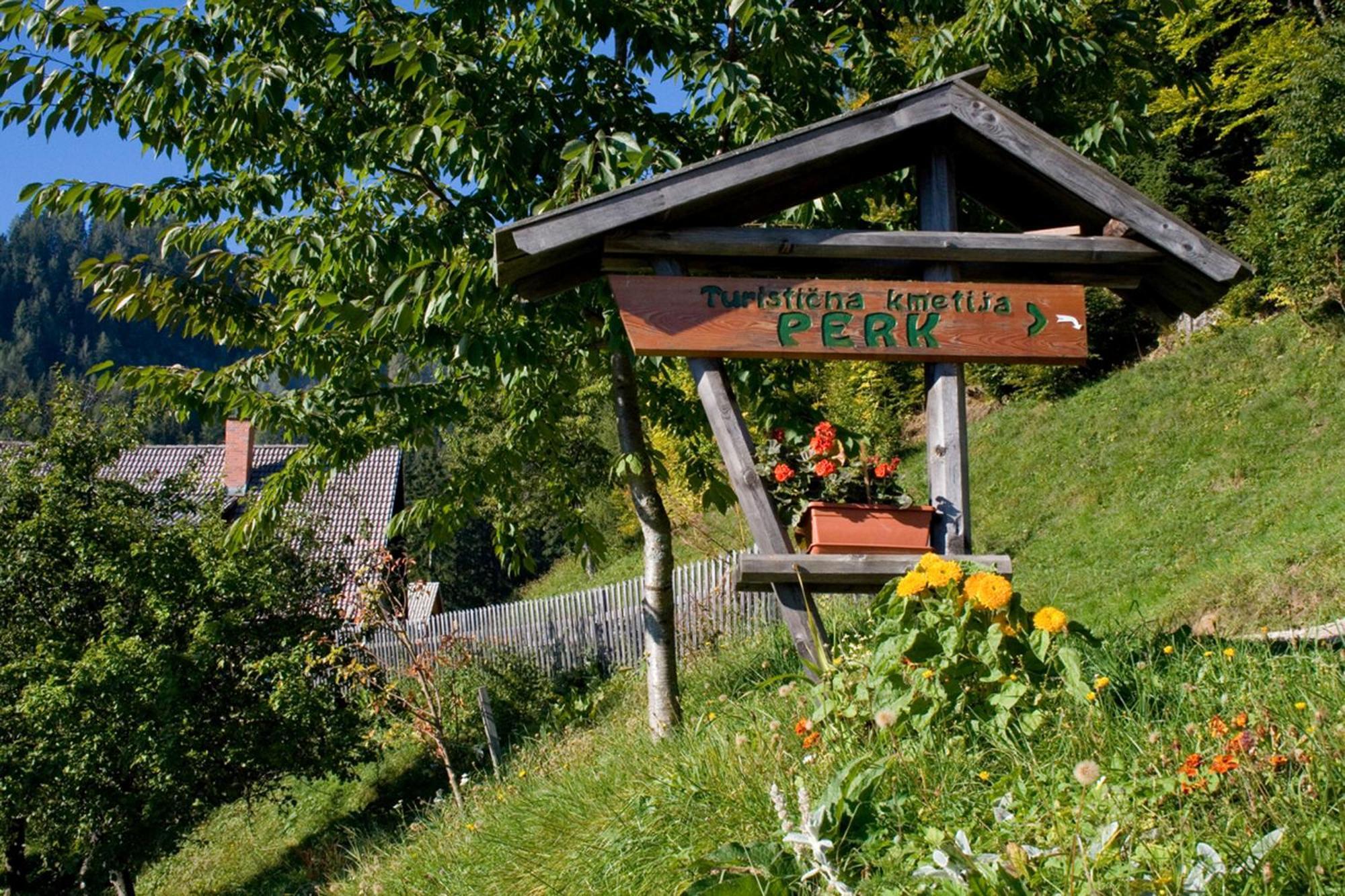 Villa Turisticna Kmetija Perk à Solčava Extérieur photo