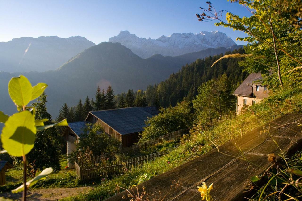 Villa Turisticna Kmetija Perk à Solčava Extérieur photo